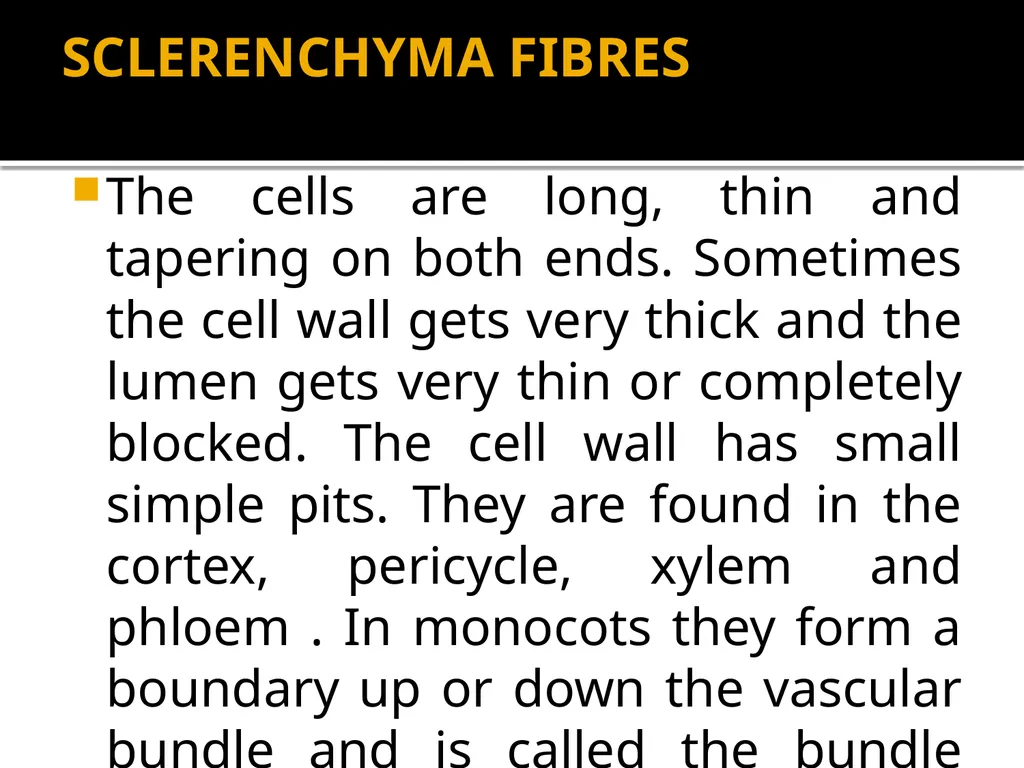 PERMANENT TISSUES Dr. Rohini Trivedi Permanent - slide 23 of 33