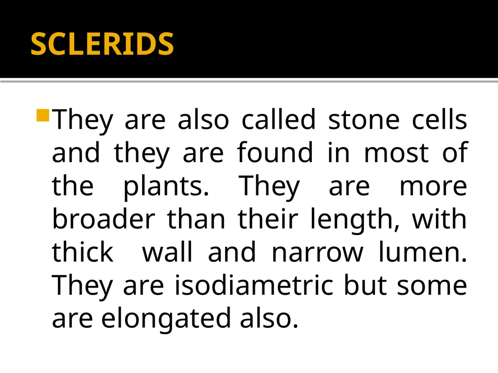 PERMANENT TISSUES Dr. Rohini Trivedi Permanent - slide 29 of 33