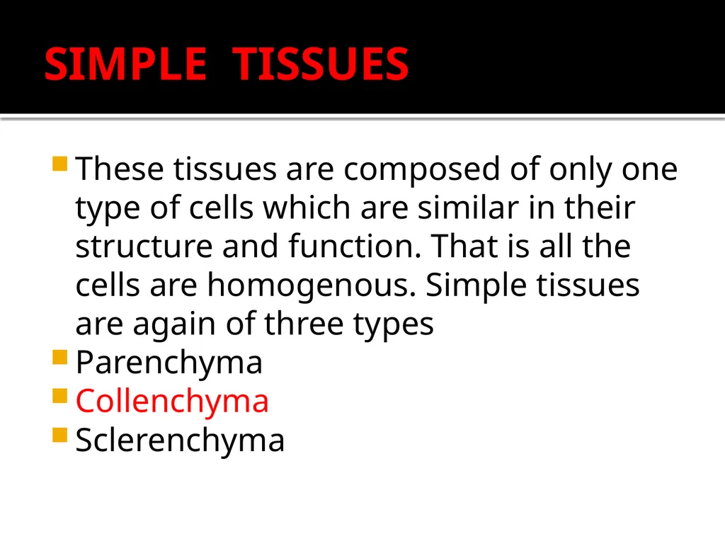 PERMANENT TISSUES Dr. Rohini Trivedi Permanent - slide 4 of 33