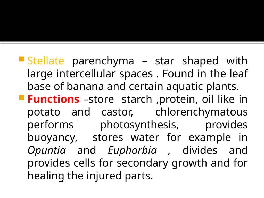 PERMANENT TISSUES Dr. Rohini Trivedi Permanent - slide 12 of 33