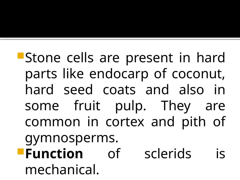 PERMANENT TISSUES Dr. Rohini Trivedi Permanent - slide 30 of 33