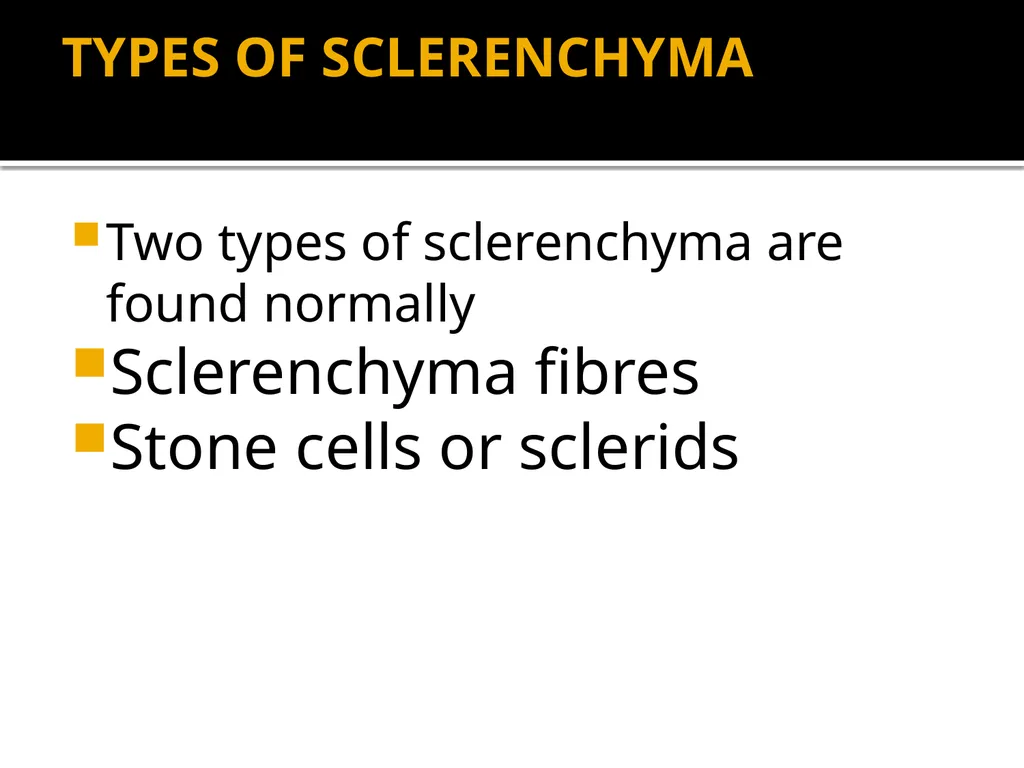 PERMANENT TISSUES Dr. Rohini Trivedi Permanent - slide 22 of 33