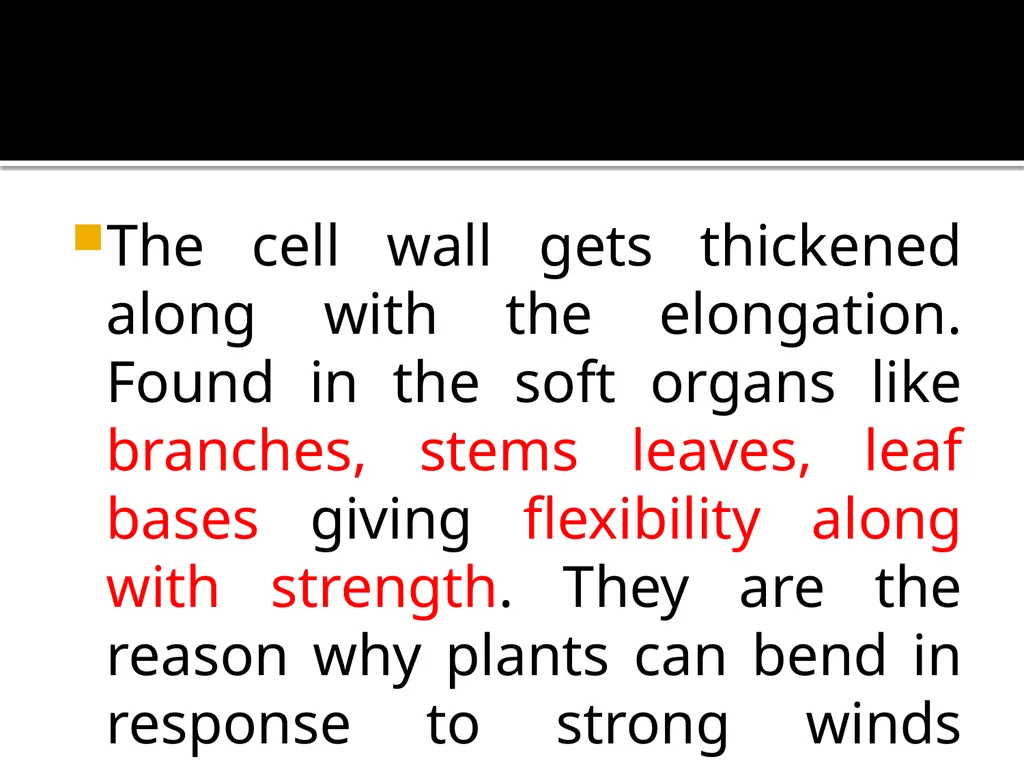 PERMANENT TISSUES Dr. Rohini Trivedi Permanent - slide 14 of 33