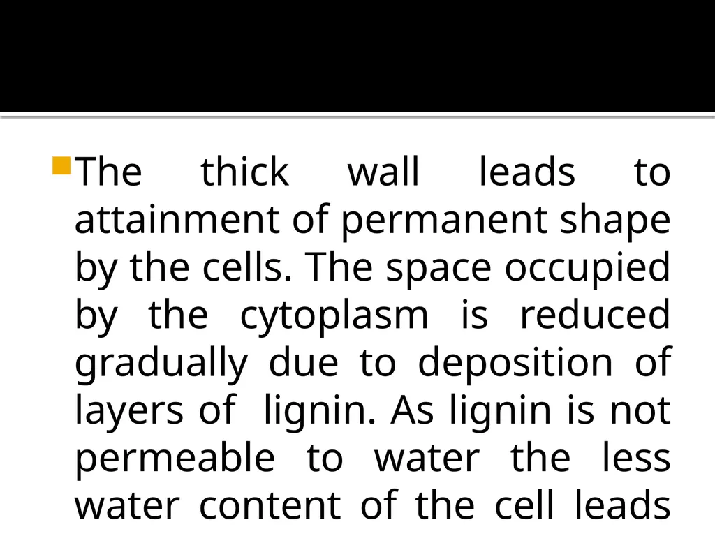 PERMANENT TISSUES Dr. Rohini Trivedi Permanent - slide 21 of 33