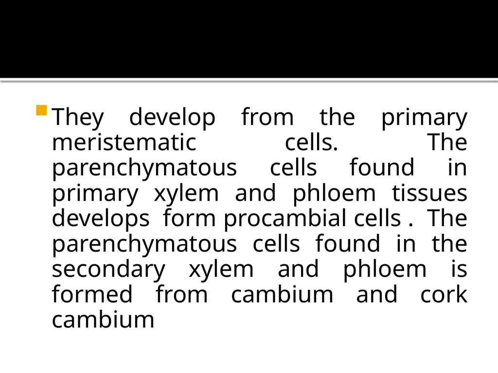 PERMANENT TISSUES Dr. Rohini Trivedi Permanent - slide 7 of 33