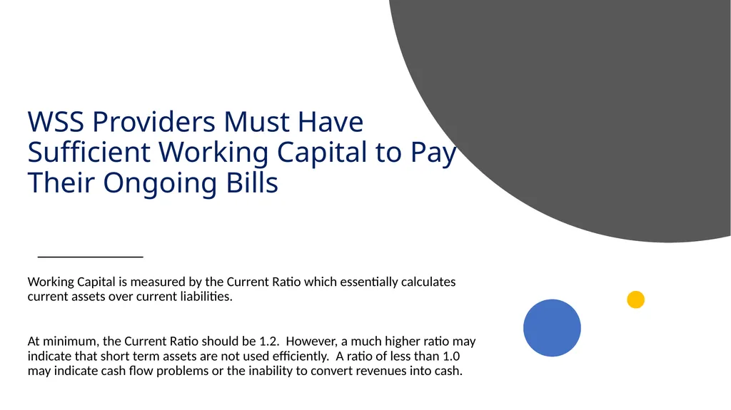 Analyzing and Structuring Financially Sustainable - slide 4 of 21