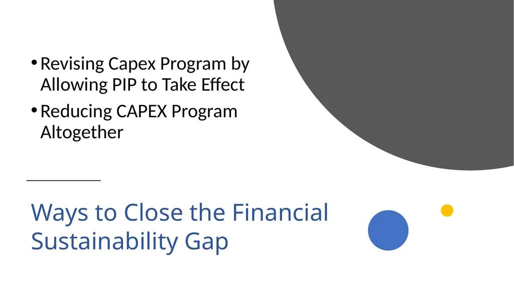 Analyzing and Structuring Financially Sustainable - slide 9 of 21