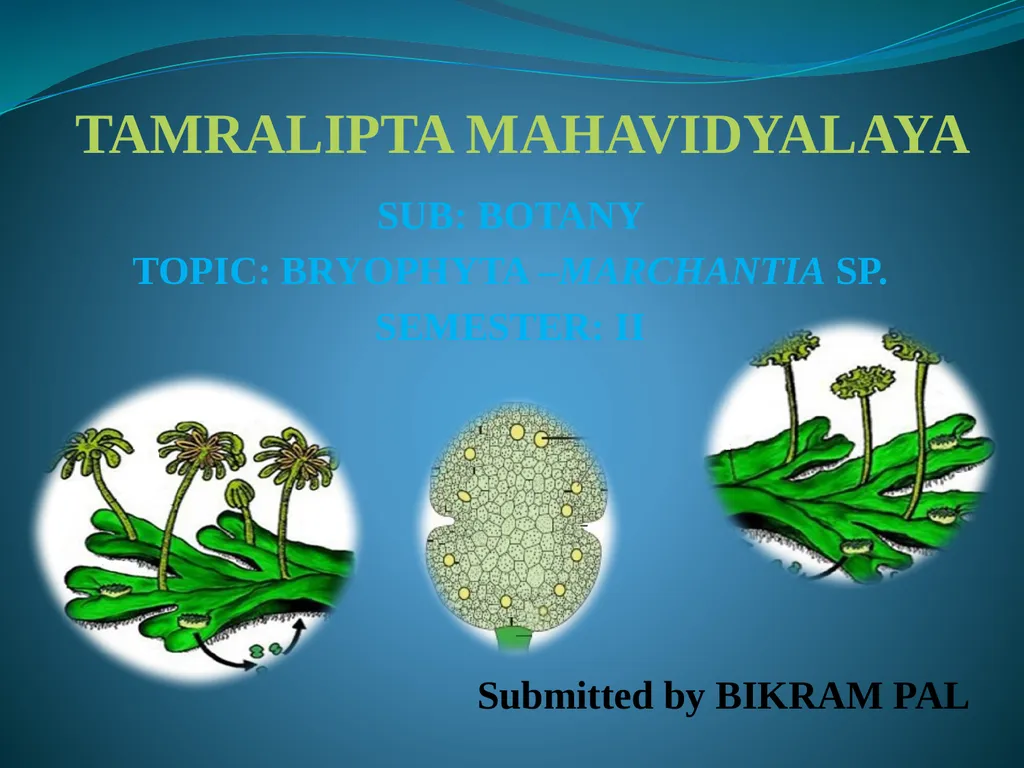 TAMRALIPTA MAHAVIDYALAYA SUB: BOTANY TOPIC: - slide 1 of 14