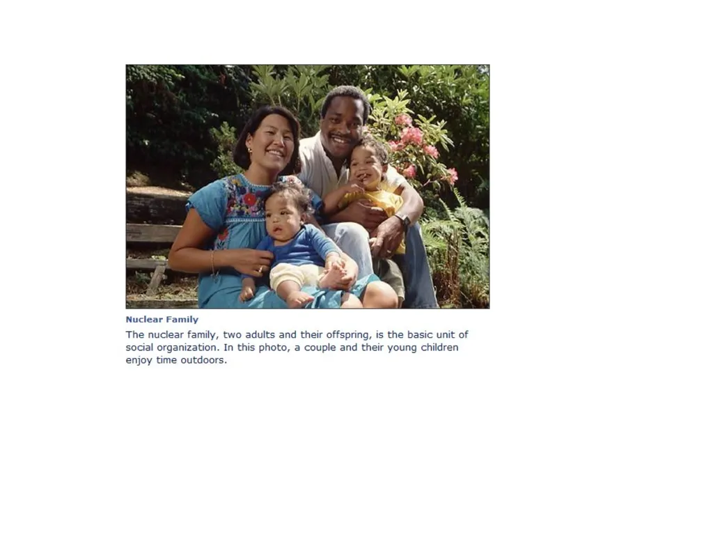 Family as Social Institution IMRAN AHMAD SAJID - slide 5 of 17