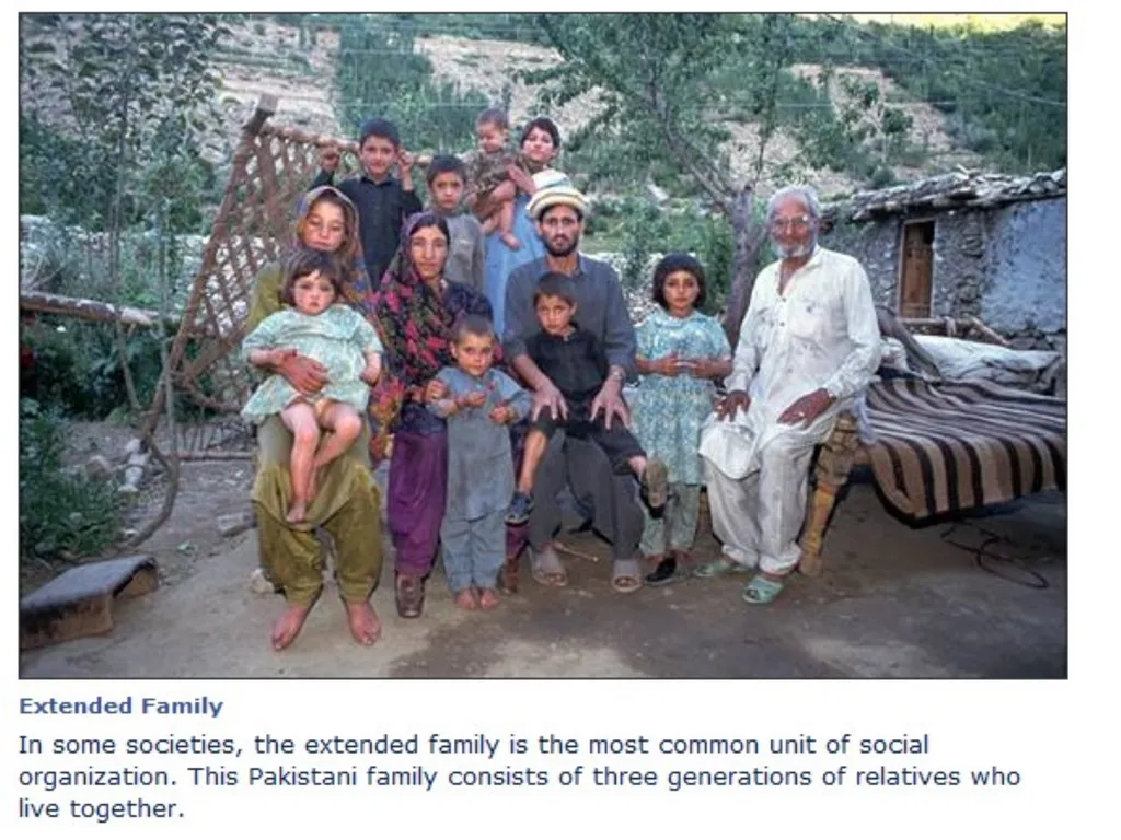 Family as Social Institution IMRAN AHMAD SAJID - slide 6 of 17