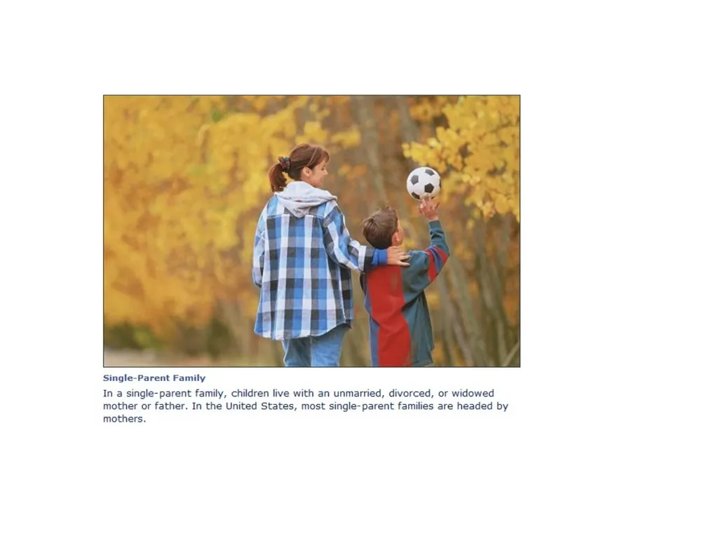 Family as Social Institution IMRAN AHMAD SAJID - slide 7 of 17