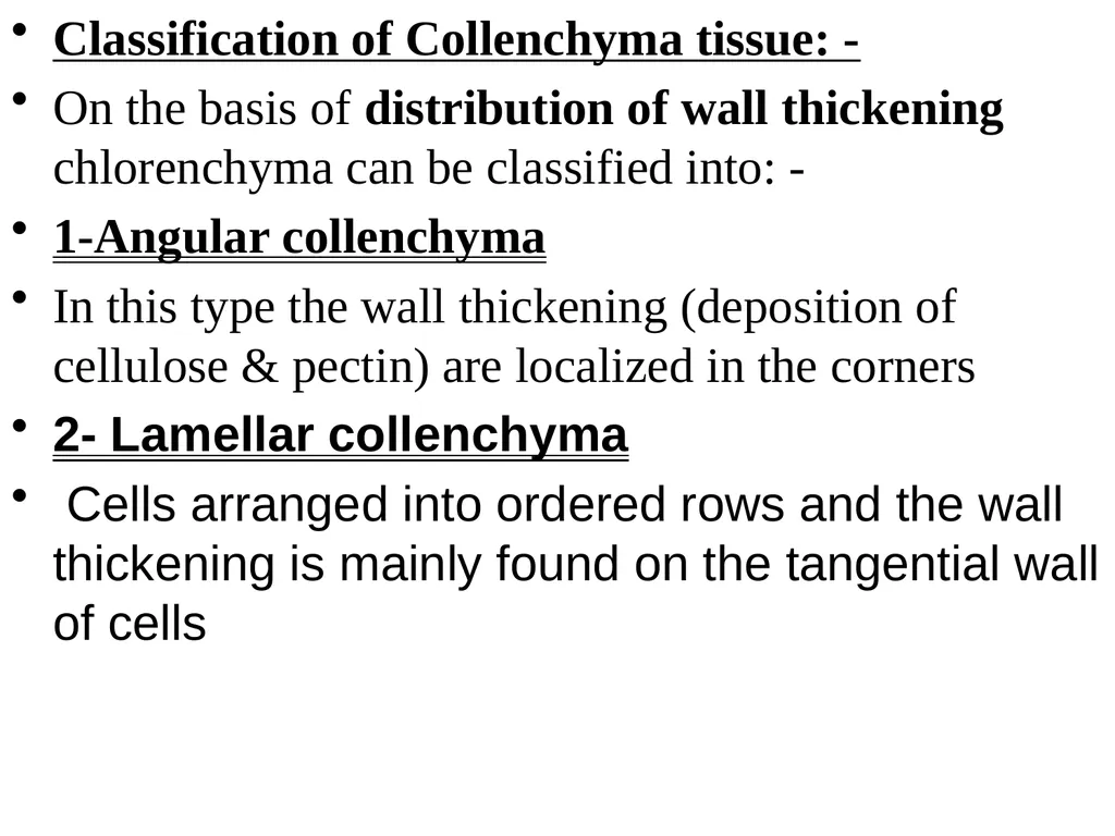 2- Collenchyma tissue: - Defination:- They are - slide 2 of 8