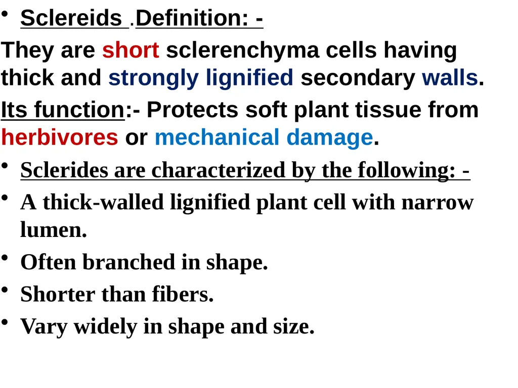 2- Collenchyma tissue: - Defination:- They are - slide 6 of 8
