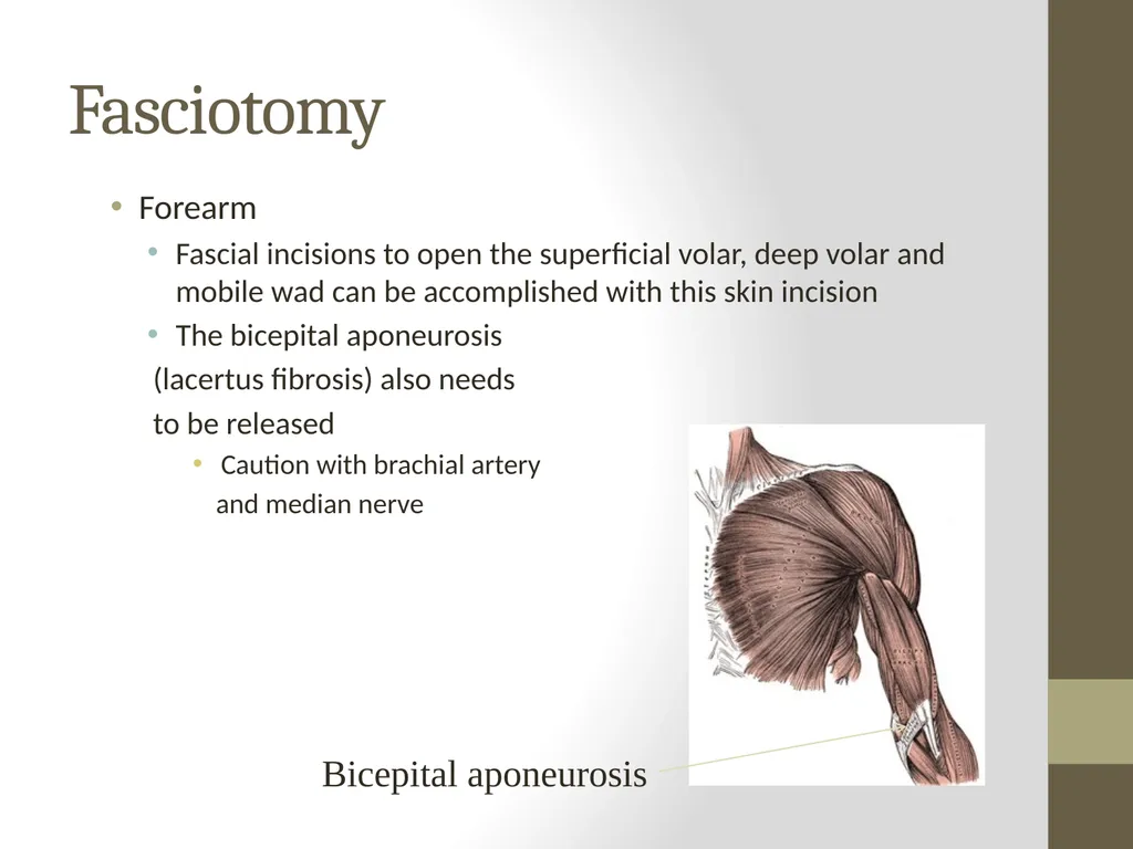 SURGERY Guide to Procedures Topics Patient prep - slide 39 of 40