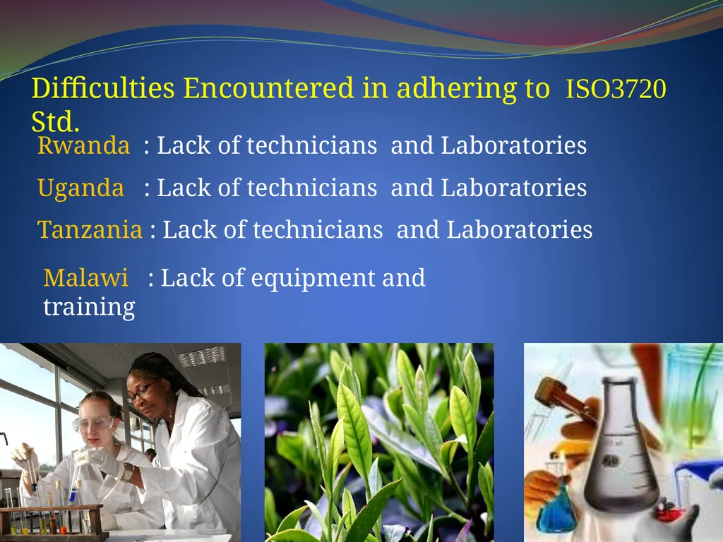 FAO /IGG ON TEA WORKING GROUPS – SESSIONS IN - slide 13 of 16