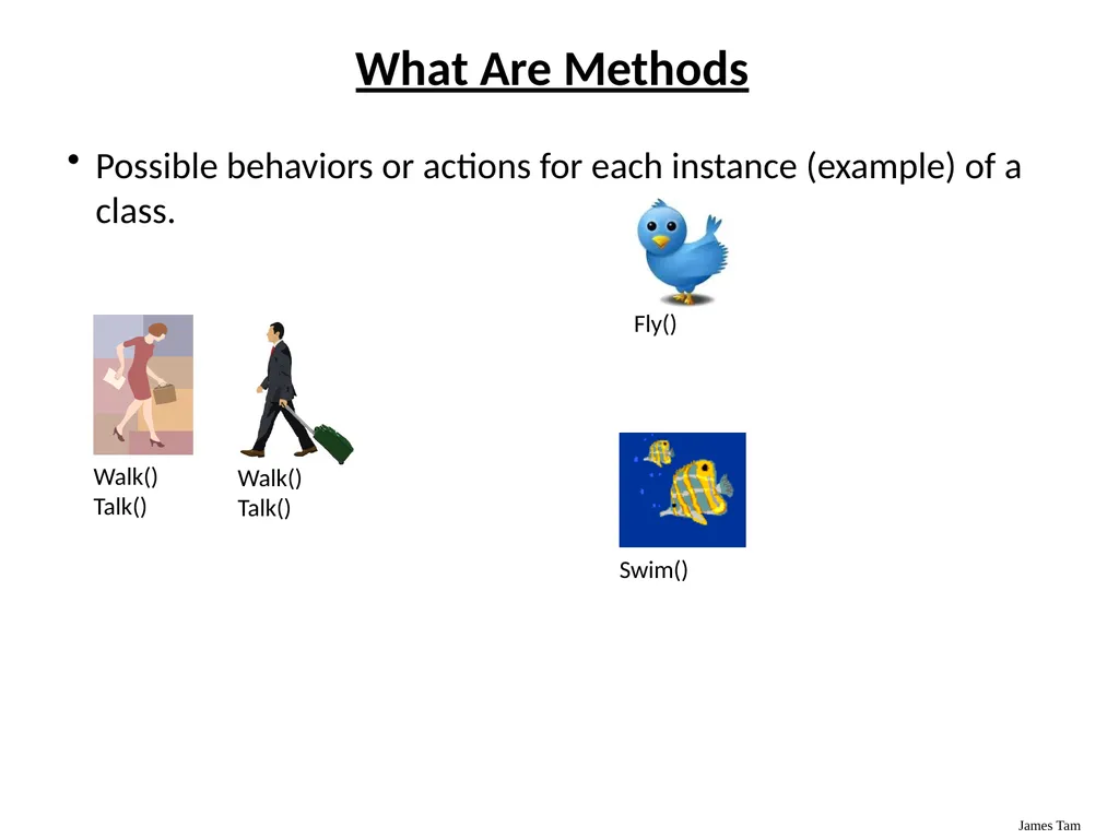 Introduction To Object-Oriented Programming Basic - slide 25 of 72