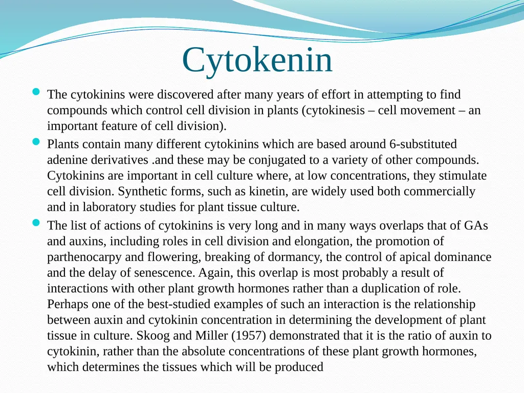 Plant Physiology Presented By Garima Yadav - slide 16 of 24