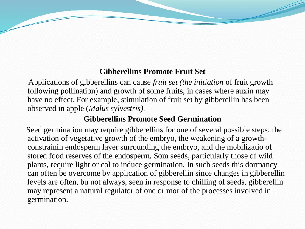 Plant Physiology Presented By Garima Yadav - slide 13 of 24