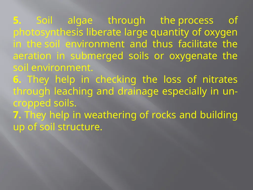 Soil Microorganism: Bacteria Amongst the different - slide 20 of 20