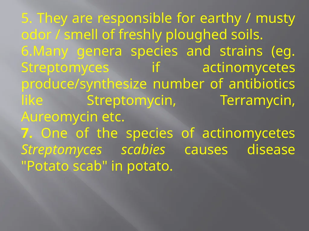 Soil Microorganism: Bacteria Amongst the different - slide 15 of 20