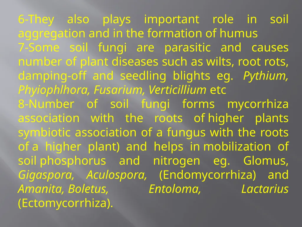 Soil Microorganism: Bacteria Amongst the different - slide 9 of 20