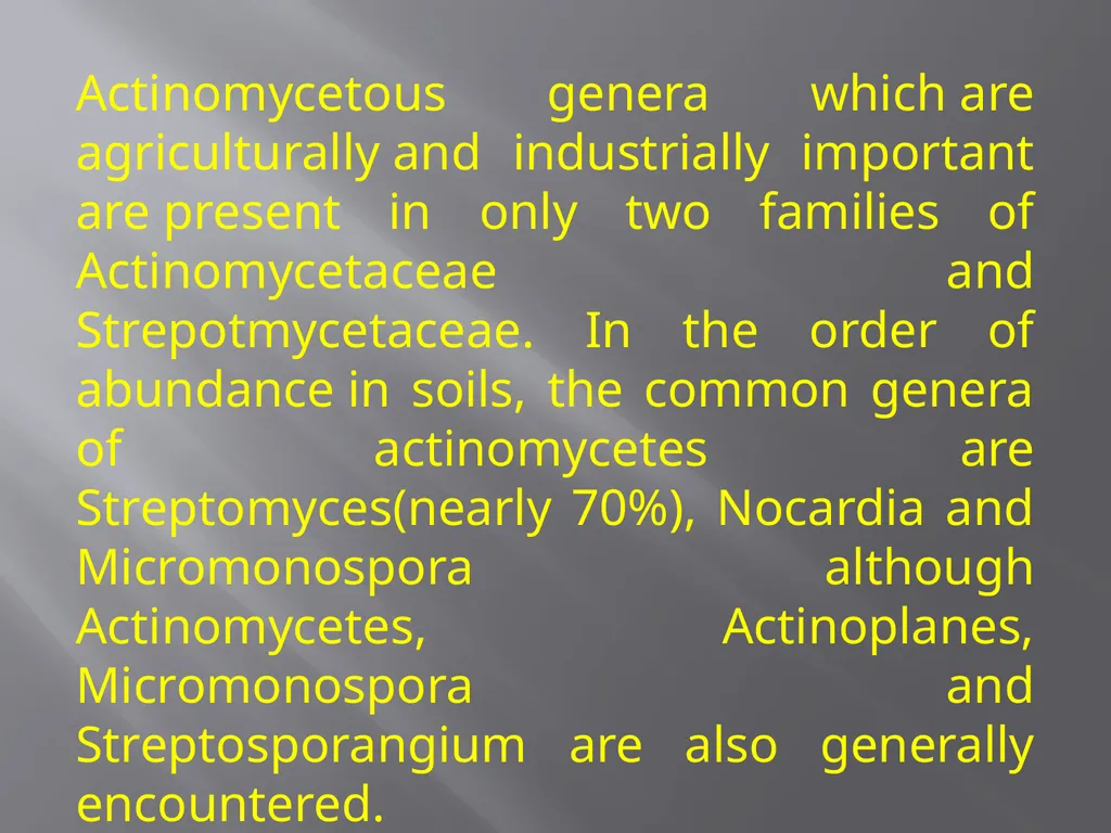 Soil Microorganism: Bacteria Amongst the different - slide 13 of 20