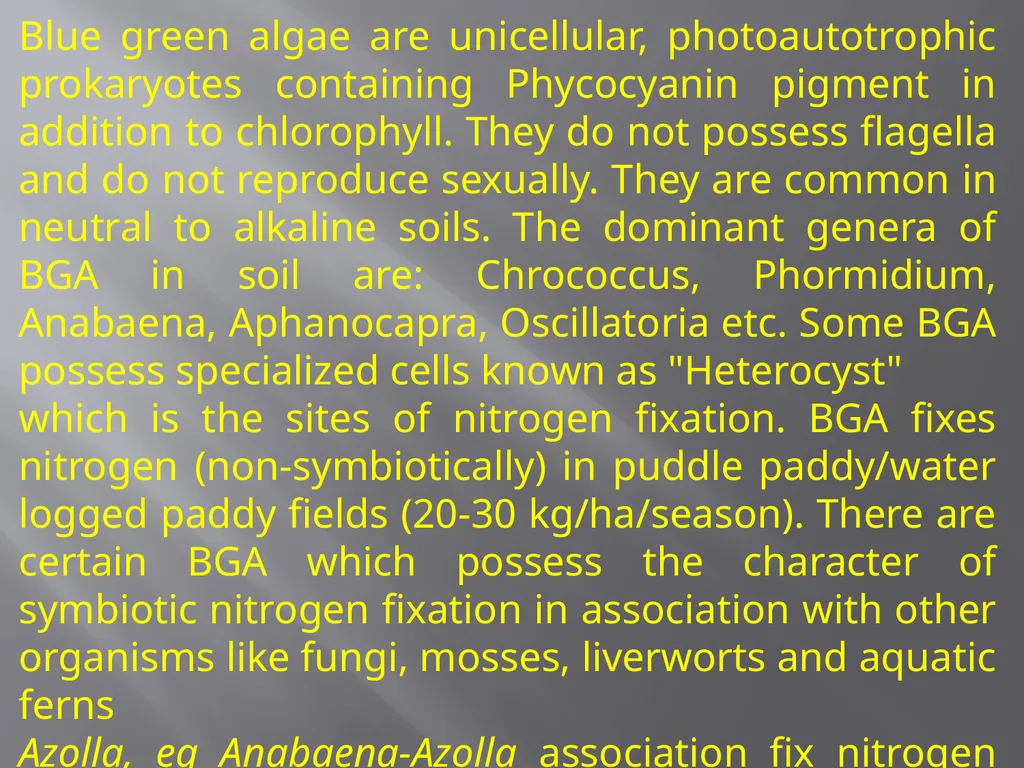 Soil Microorganism: Bacteria Amongst the different - slide 18 of 20