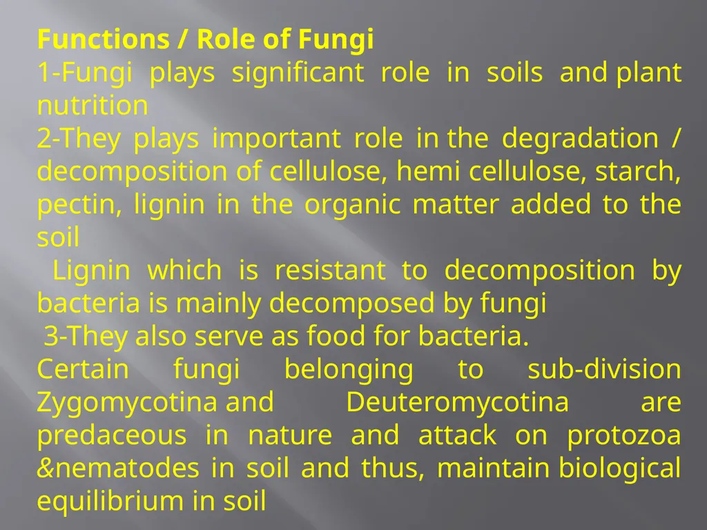 Soil Microorganism: Bacteria Amongst the different - slide 8 of 20