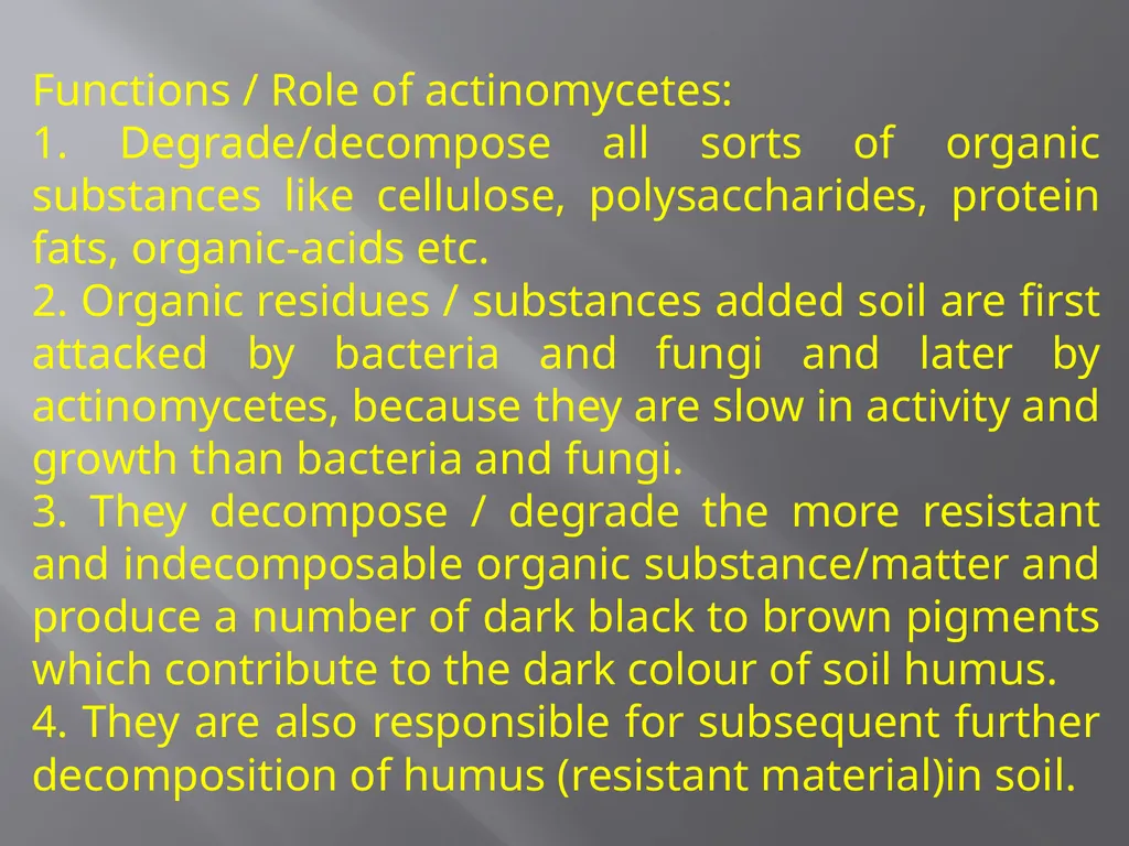Soil Microorganism: Bacteria Amongst the different - slide 14 of 20