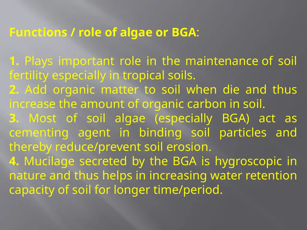 Soil Microorganism: Bacteria Amongst the different - slide 19 of 20
