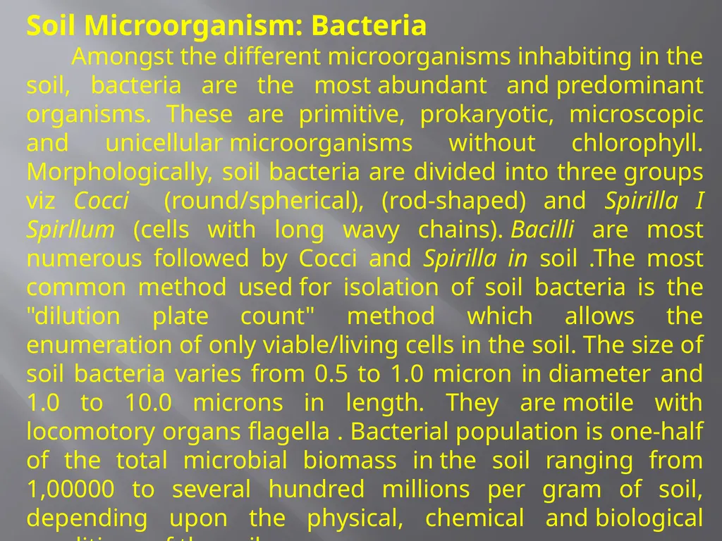 Soil Microorganism: Bacteria Amongst the different - slide 1 of 20