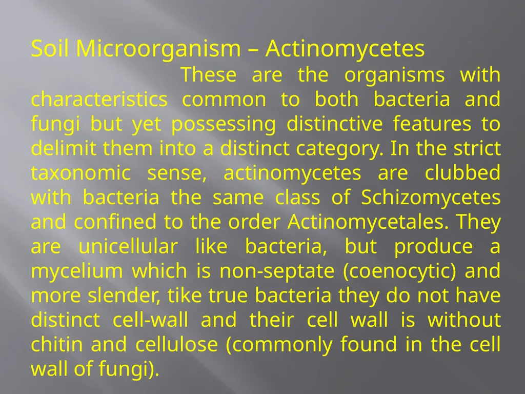 Soil Microorganism: Bacteria Amongst the different - slide 10 of 20