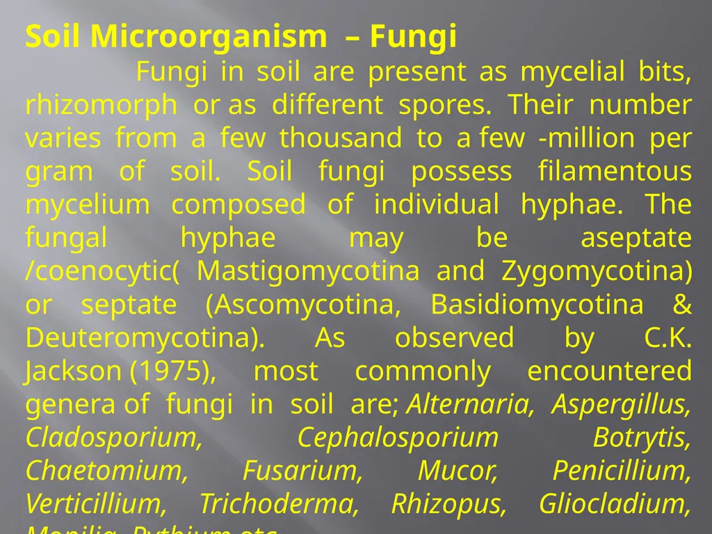 Soil Microorganism: Bacteria Amongst the different - slide 6 of 20