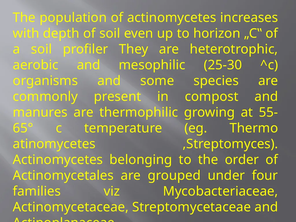 Soil Microorganism: Bacteria Amongst the different - slide 12 of 20