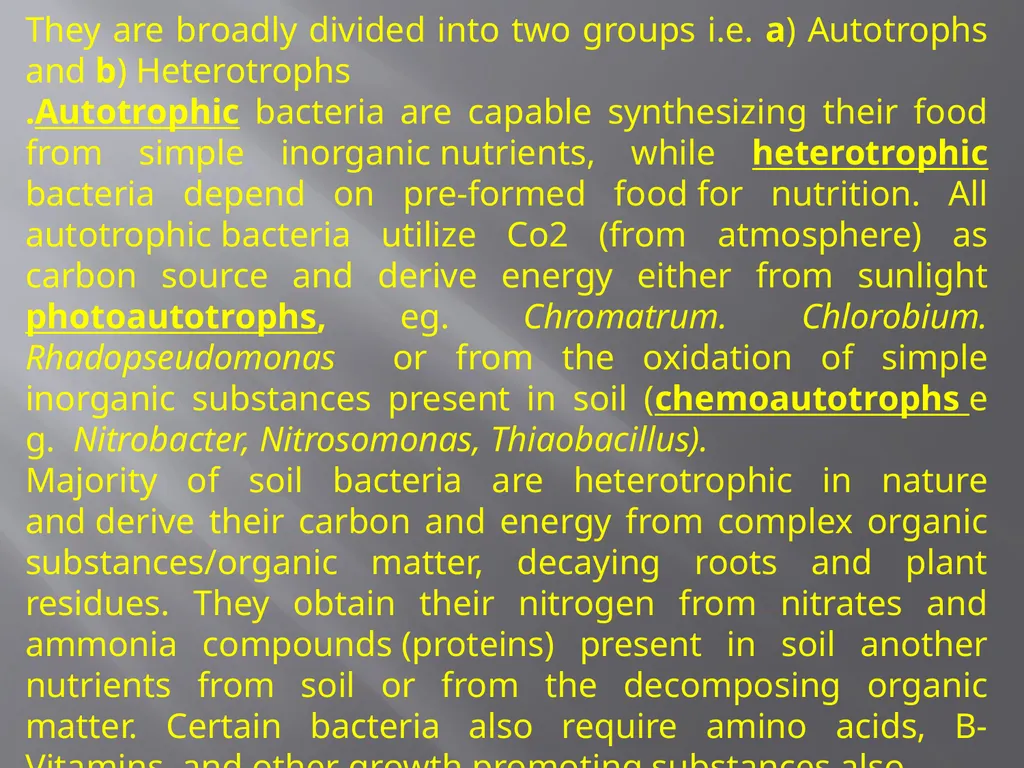 Soil Microorganism: Bacteria Amongst the different - slide 4 of 20