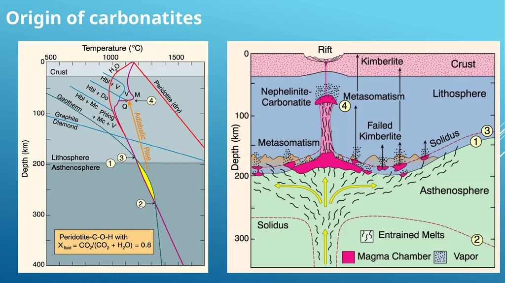Alkaline rocks Lamprophyre Carbonatite Lamproites - slide 28 of 29