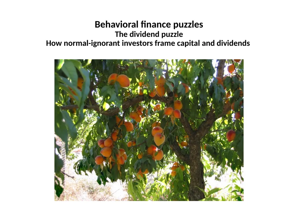 Finance for Normal People Chapter 7: Behavioral - slide 6 of 53