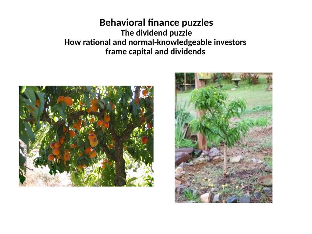 Finance for Normal People Chapter 7: Behavioral - slide 7 of 53