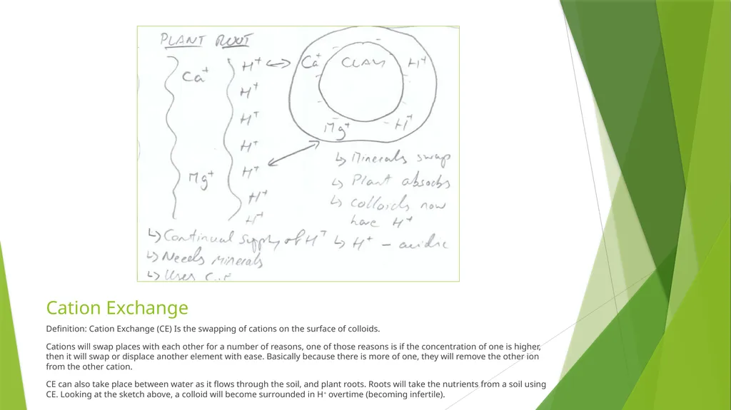 Soil Chemistry Leaving Cert. Agricultural Science - slide 6 of 8
