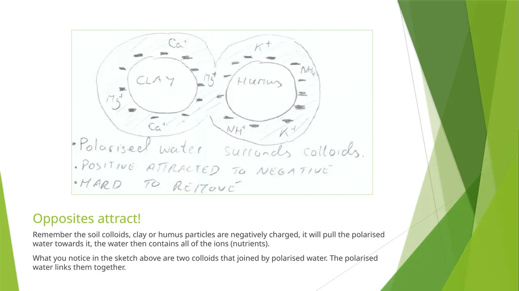 Soil Chemistry Leaving Cert. Agricultural Science - slide 4 of 8