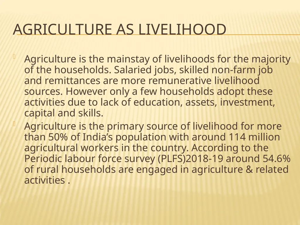 RURAL DEVELOPMENT SEM-V (hons.) SOHINI NATH - slide 3 of 12
