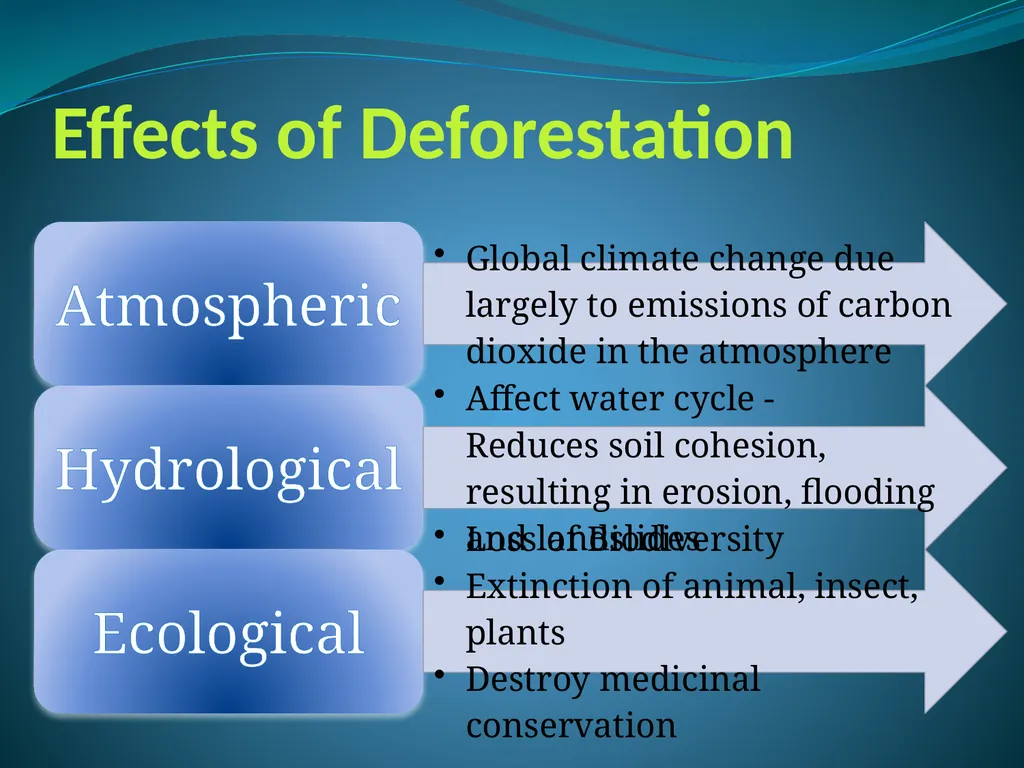 Climate Change & Sustainable Turtle Conservation - slide 3 of 20