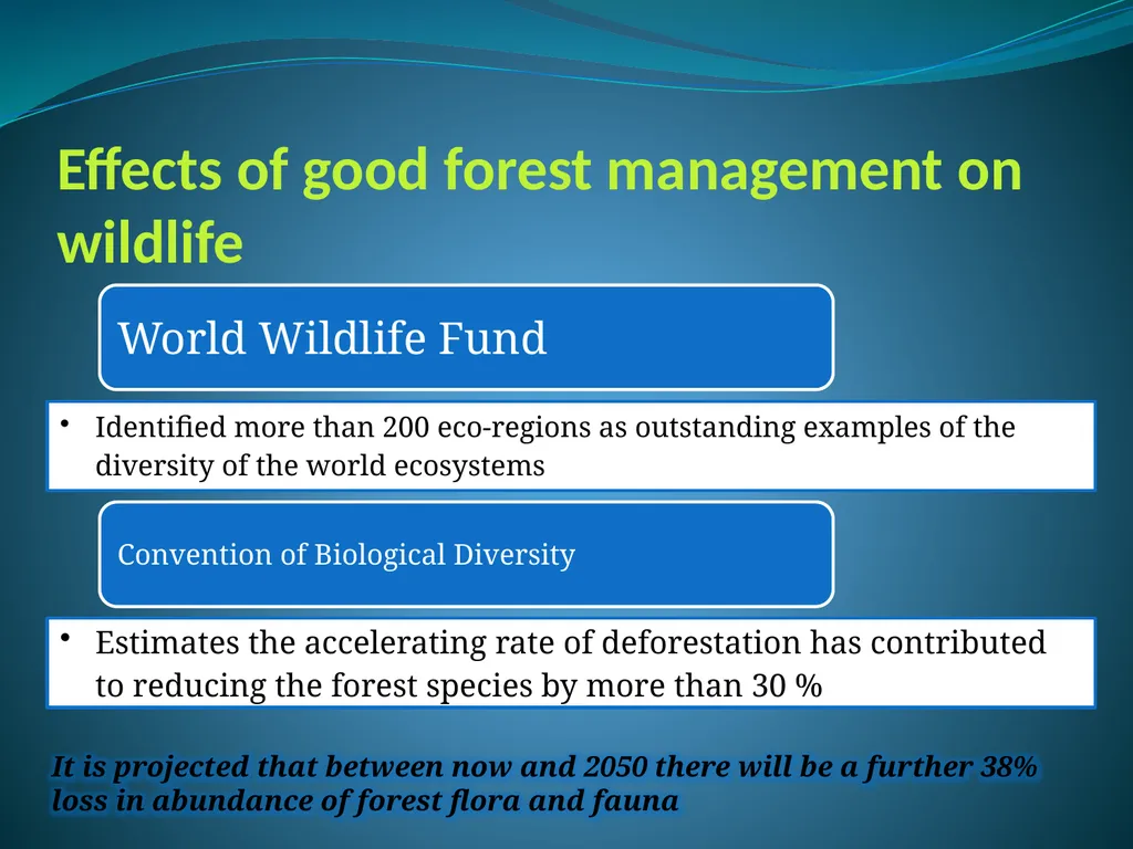 Climate Change & Sustainable Turtle Conservation - slide 10 of 20