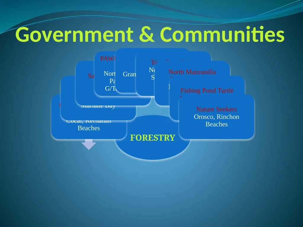Climate Change & Sustainable Turtle Conservation - slide 17 of 20