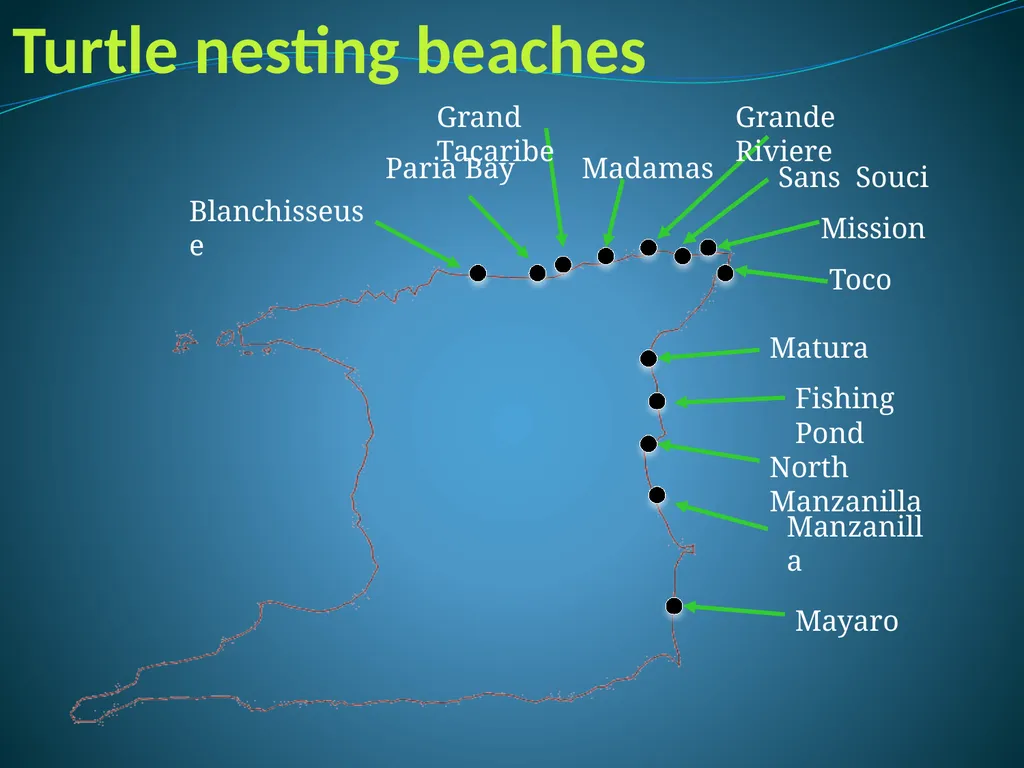 Climate Change & Sustainable Turtle Conservation - slide 18 of 20