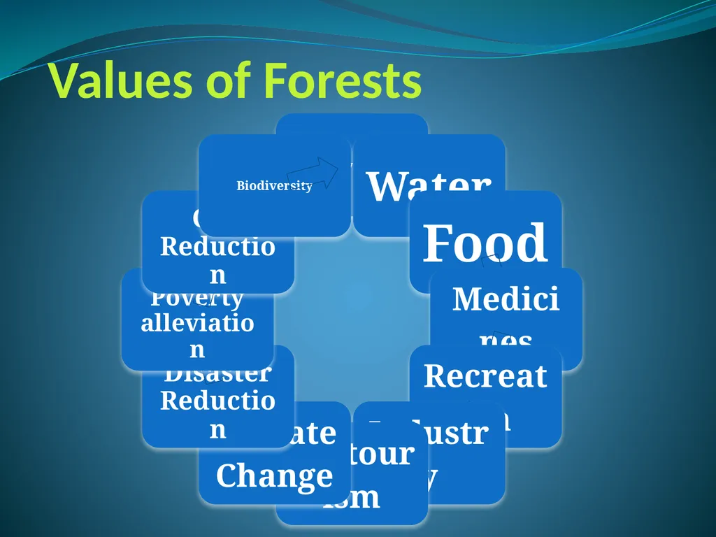 Climate Change & Sustainable Turtle Conservation - slide 2 of 20