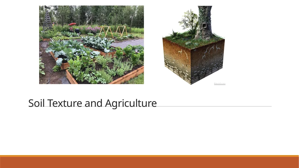 Soil Texture and Agriculture Soil Particles Most - slide 1 of 18