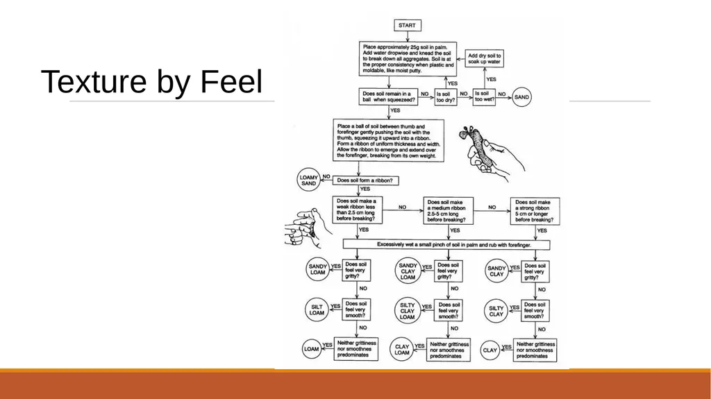 Soil Texture and Agriculture Soil Particles Most - slide 10 of 18
