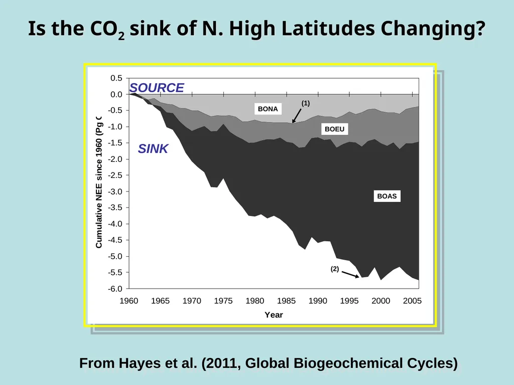 An Assessment of the Carbon Balance of Arctic - slide 3 of 17