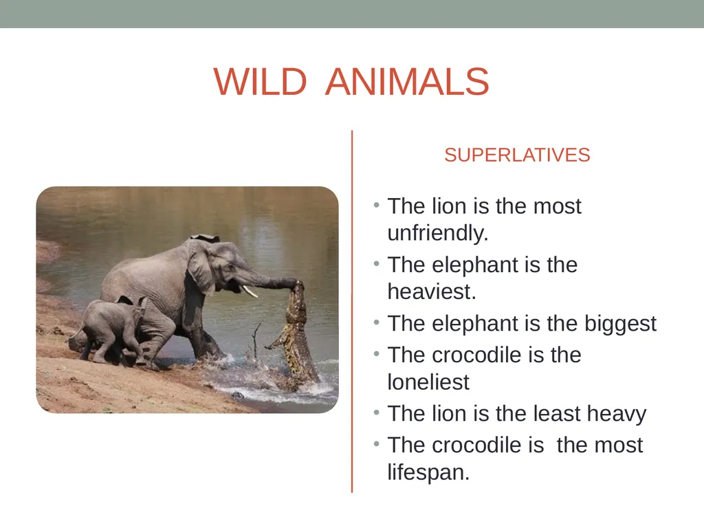 PRE-INTERMEDIATE ENGLISH ASSIGNMENT 2 KATY PAOLA - slide 13 of 17